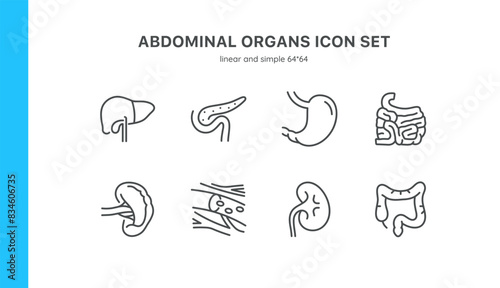 Abdominal Organs Icons Set. Isolated Illustrations of Liver, Pancreas, Stomach, Intestines, Spleen, Blood Vessels, and Kidneys. Linear Vector Pack on White Background.