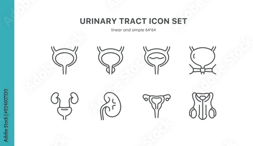 Urinary Tract Icon Set. Thin Line Illustrations of Kidneys  Bladder  Ureters  and Related Anatomical Structures. Editable Vector Signs Collection.