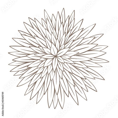 Abstract doodle mandalas illustration for decoration on nature and floral concept.