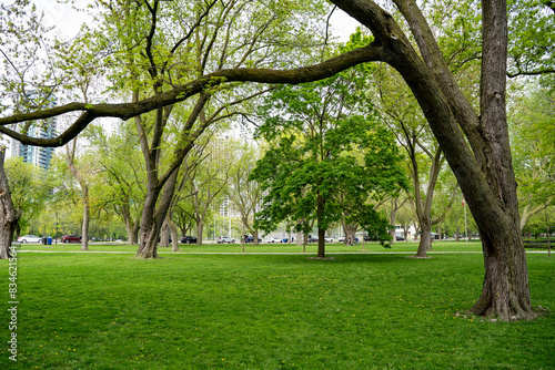 Photography View of Coronation Park