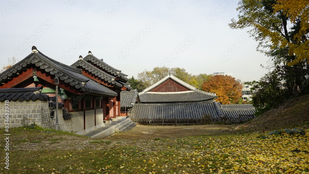 가을 풍경과 경희궁 고궁과 도시의 풍경입니다. 가을 풍경과 경희궁 고궁과 도시의 풍경입니다.