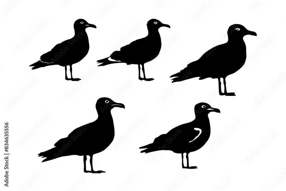 Obraz premium Set of black seagull silhouettes on white background.