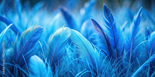 Abstract nature background of sapphire blue feathers and gray grass, feathers, grass, abstract, nature, texture, background, colorful, blue, sapphire, gray, vibrant, detailed, pattern photo