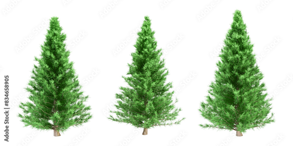 set of trees isolated on white set of trees isolated on white