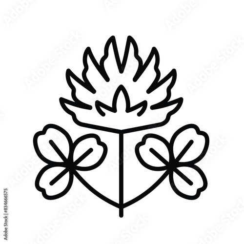 Clover, editable icon. Blooming flower head with leaves. Shamrock. Field fodder plant with large inflorescence. Stylized botanical icon for a label, feed shop, cosmetology. Editable thin strokes