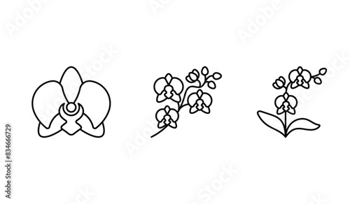 Orchid icon set. Diversity orchids - flower head, branch, whole growh plant. Graceful stem, leaves, blooming flowers and buds. Best for flower shop, horticulture, beauty. Minimalist illustration