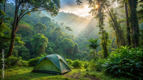 Lonely tourist tent surrounded by lush jungle forest, tent, jungle, forest, backpacking, camping, wilderness, nature, solitude, adventure, hiking, exploration, travel, outdoor, greenery photo