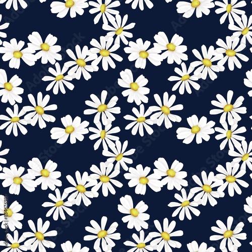 Seamless floral pattern. White chamomile on a blue black background drawn by hand