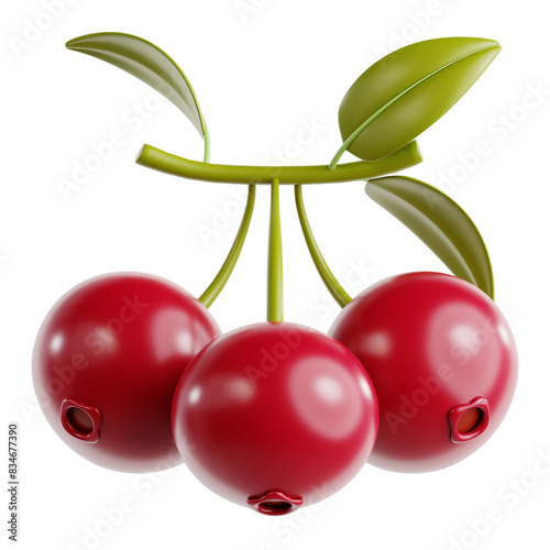 Cranberry Fruit for Urinary Tract Health