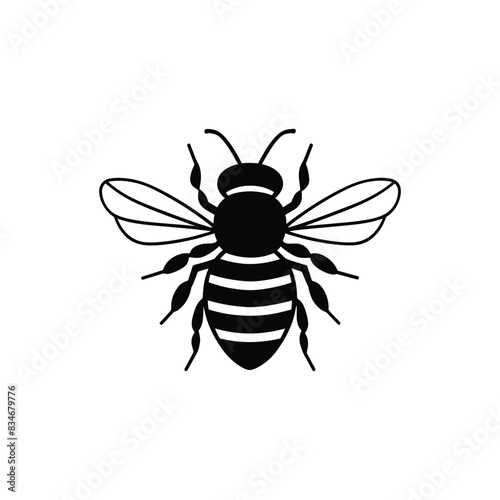 illustration of a bee