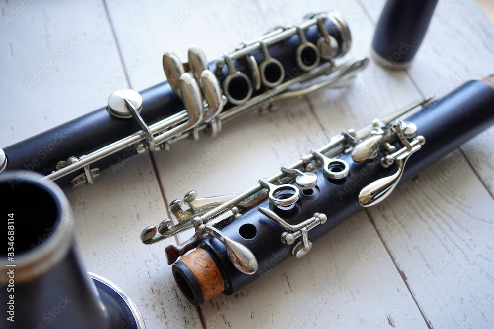 Naklejka premium クラリネット。吹奏楽部に所属している小学5年生が使っている管楽器。