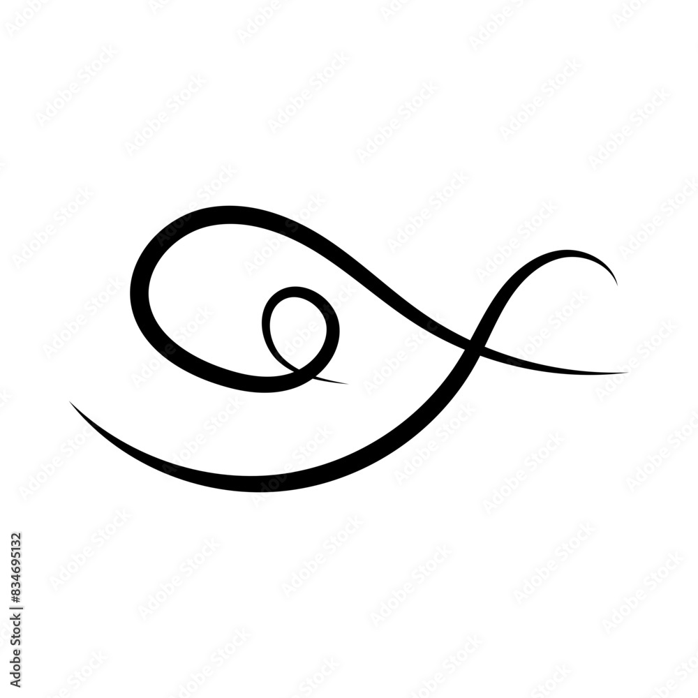 Calligraphy Curl Ornament Calligraphy Curl Ornament