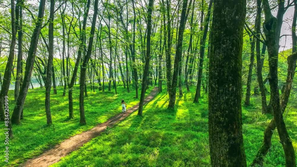 In sunny weather, an Asian young woman in a white dress rides a bicycle along a forest path. Sunlight filters through the leaves, creating a dappled light and shadow effect on the ground. In sunny weather, an Asian young woman in a white dress rides a bicycle along a forest path. Sunlight filters through the leaves, creating a dappled light and shadow effect on the ground.