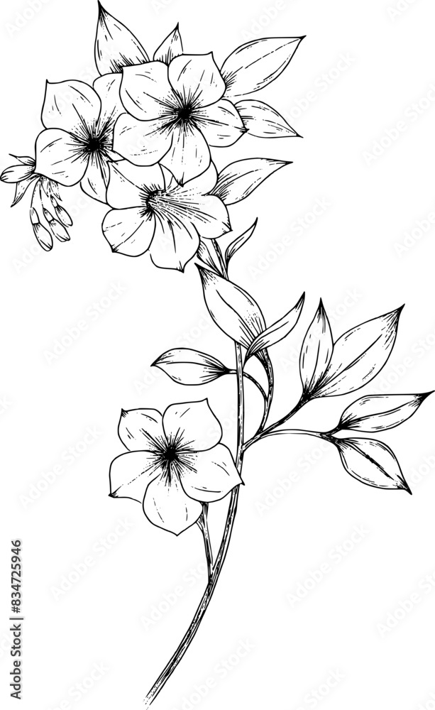 Wild flower on branch with leaves Wild flower on branch with leaves