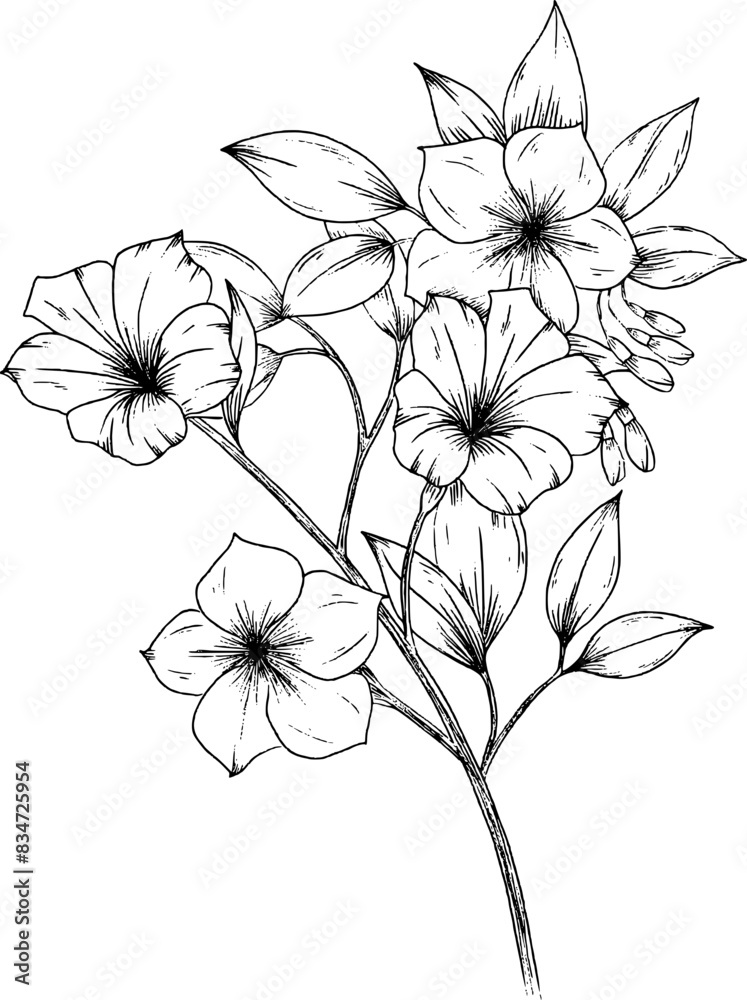Wild flower on branch with leaves Wild flower on branch with leaves