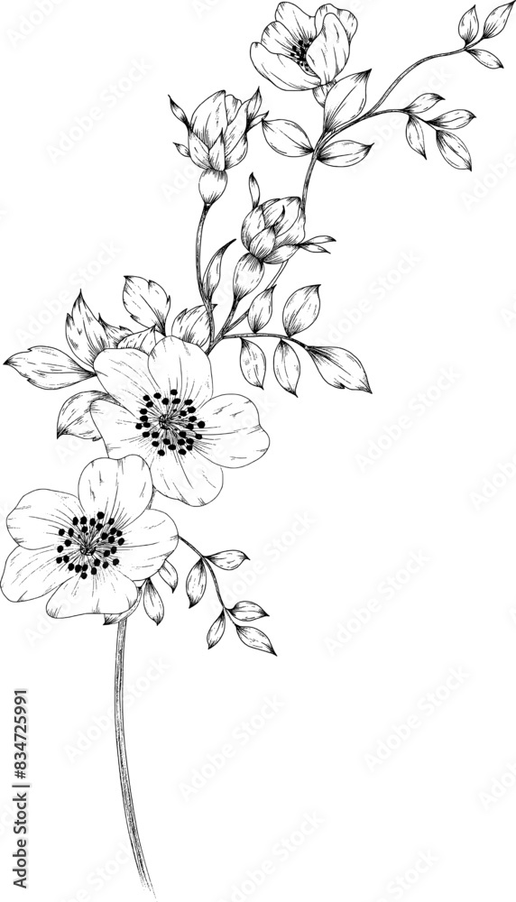 Apple blossom with leaves on branch Apple blossom with leaves on branch