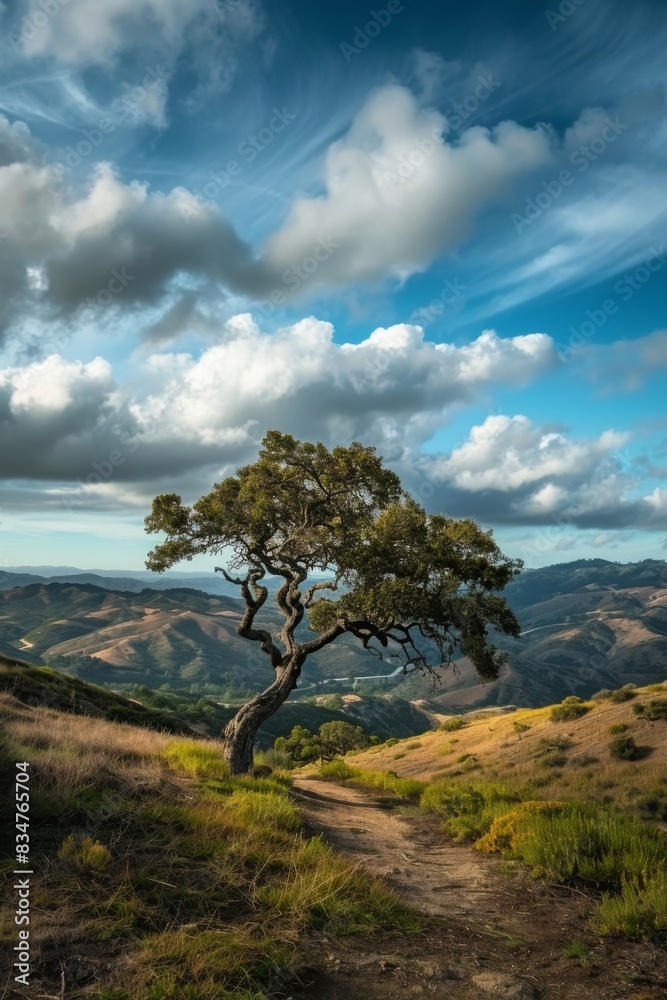 Scenic California Landscape Featuring Lonley Tree and Rolling Hills Under Dramatic Sky Ideal for Nature Posters and Prints Scenic California Landscape Featuring Lonley Tree and Rolling Hills Under Dramatic Sky Ideal for Nature Posters and Prints