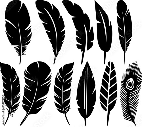 Feathers Set of Vector Collection