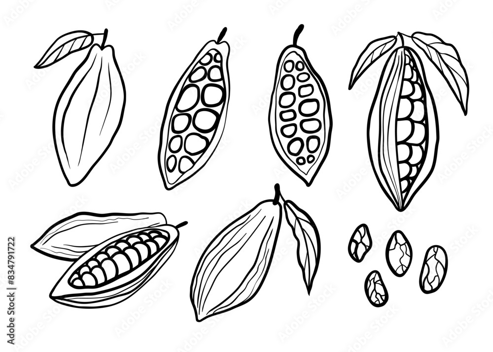 Fototapeta premium Cocoa beans hand drawn set. Black vector line illustration collection isolated on white background.