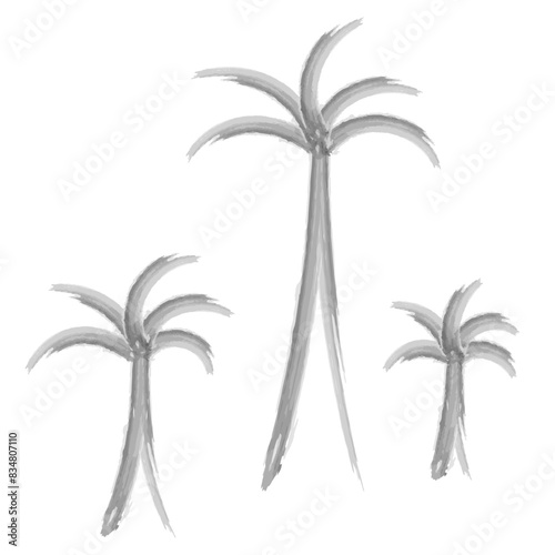 Three palm trees. Sketch. Hand drawn watercolor drawing. Set of vector illustrations. Outline on isolated white background. Doodle style. Palm tree. Ever green tropical tree. An exotic plant 