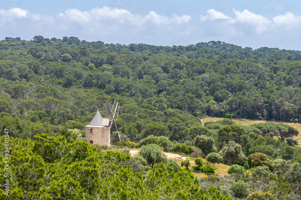 Fototapeta premium moulin à vent dans la nature méditerranéenne