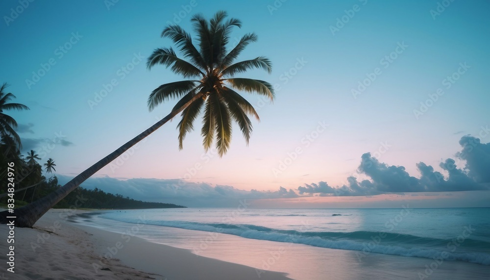 tall coconut tree with a single branch reaching to the sea on the beach in a tropical location, side view tall coconut tree with a single branch reaching to the sea on the beach in a tropical location, side view