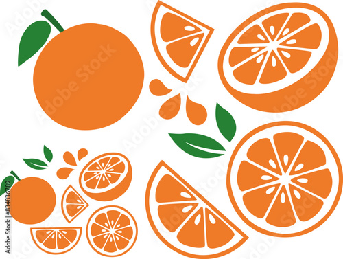 Orange Fruit Slice Set of Vector