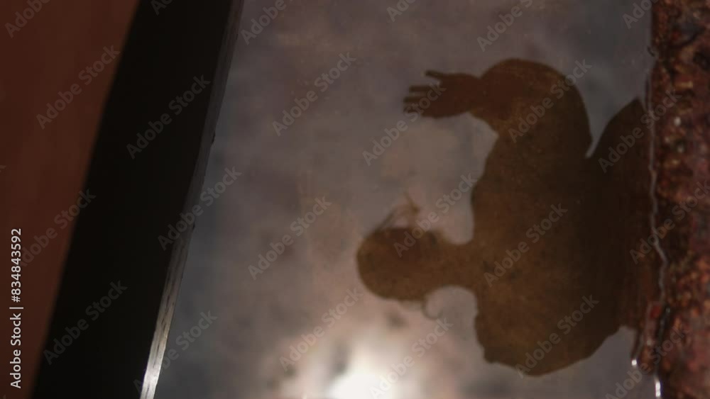 Shadowy reflection of a person in water, creating a mysterious and eerie atmosphere