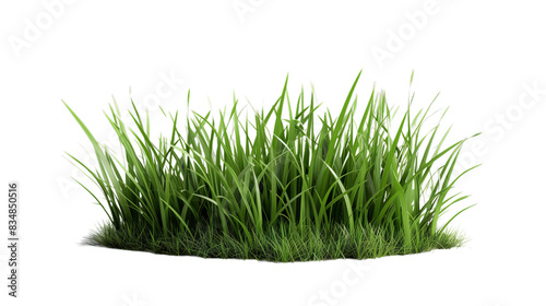 Lush Green Grass Clump Isolated on Transparent Background, PNG