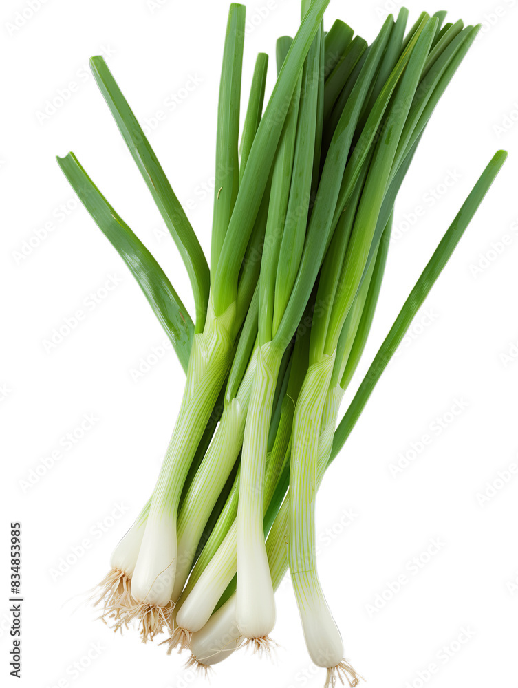 Fresh Green Onions Bunch Isolated on Transparent Background, PNG