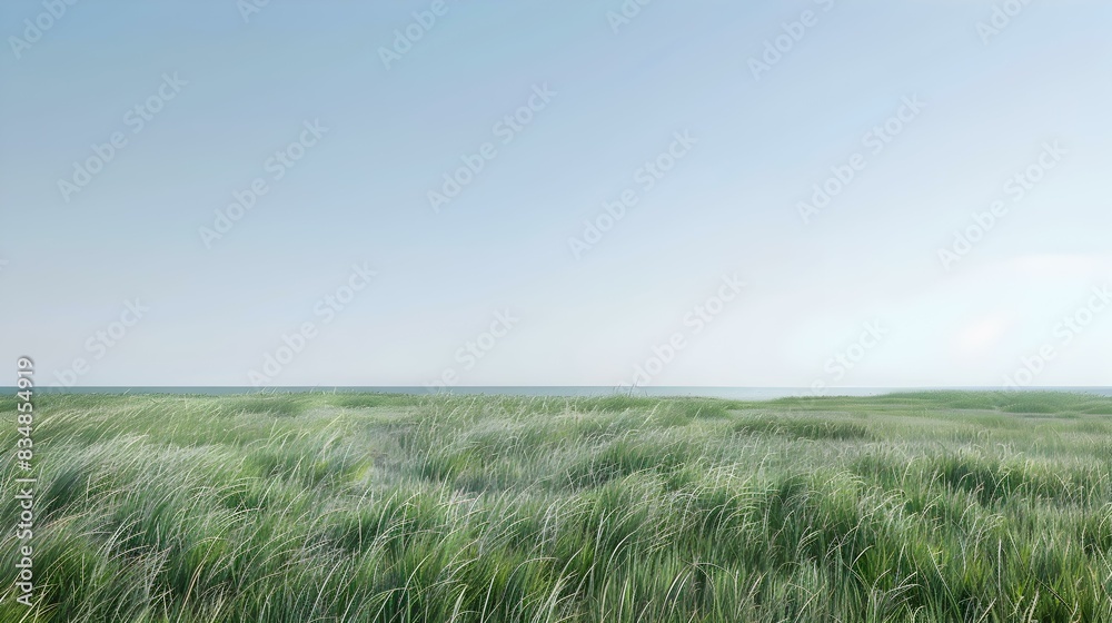 plain with undulating image plain with undulating image