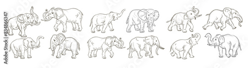 Animals. an image of a large elephant  a coloring book for children. A vector image.