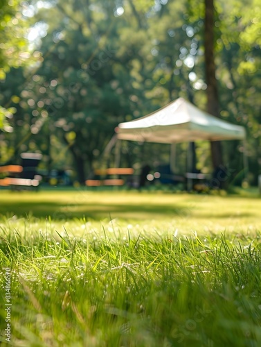 Sunny Camping Field A Haven of Grass and Shade photo