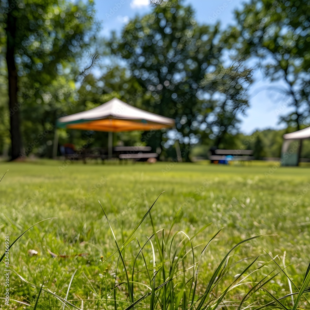 Sunny Camping Field with Lush Grass and Shaded Canopy Tent Sunny Camping Field with Lush Grass and Shaded Canopy Tent