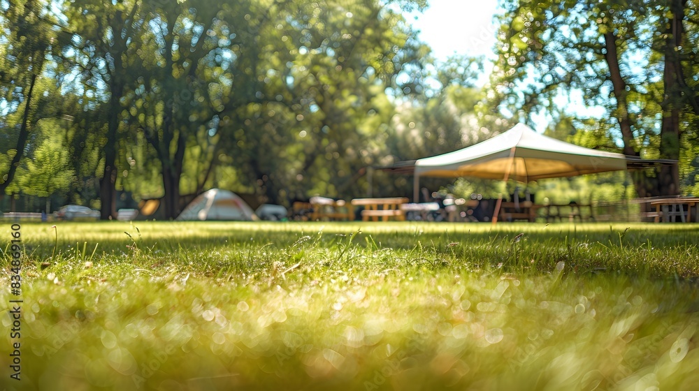 Sunny Camping Field A Summer Day of Leisure and Relaxation Sunny Camping Field A Summer Day of Leisure and Relaxation