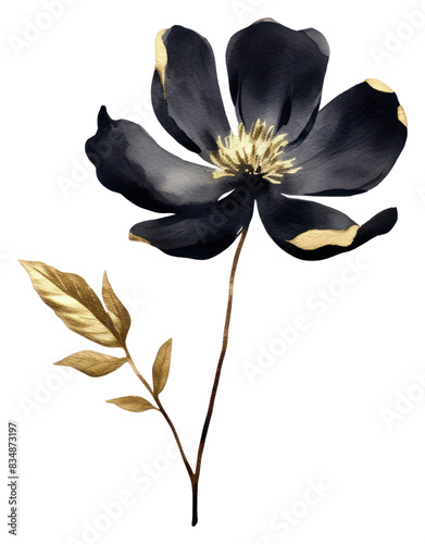 PNG Black color flower blooom blossom petal plant. photo