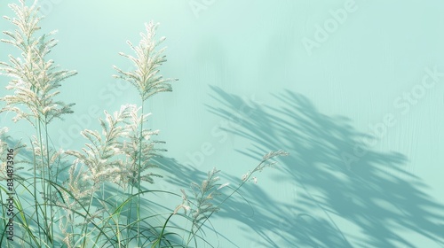A pale turquoise wall featuring the soft shadows of ornamental grasses. 