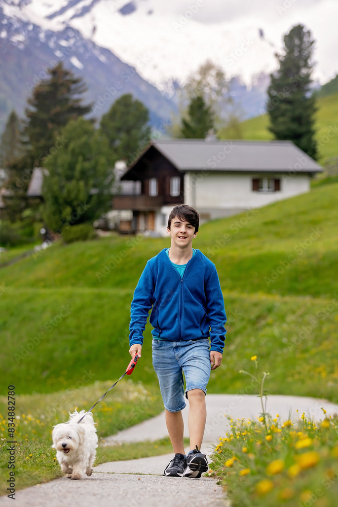 Children, boy brothers in Switzerlands Alps on a spring day with pet maltese dog, traveling. Children, boy brothers in Switzerlands Alps on a spring day with pet maltese dog, traveling.