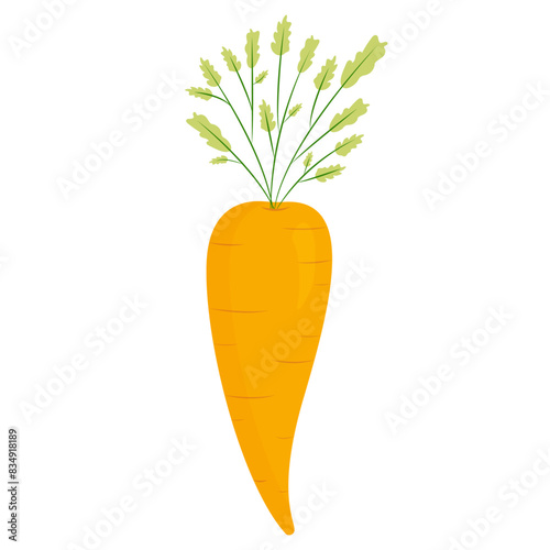 Bright carrot isolated on a white background.