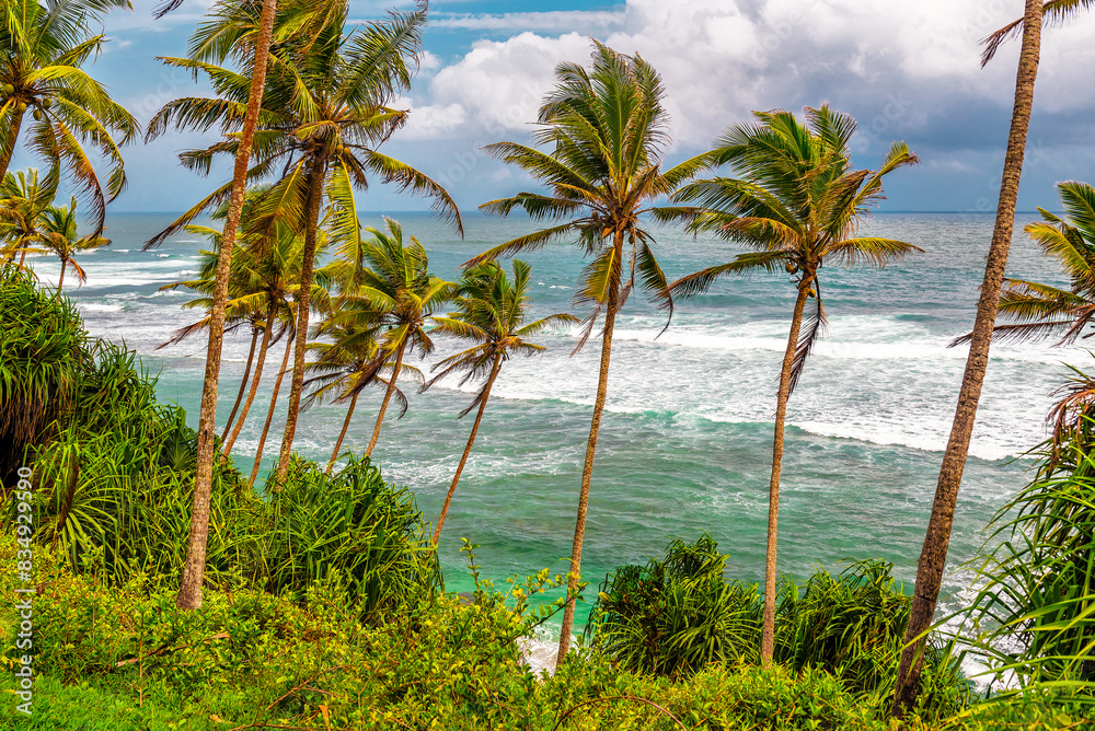 Obraz premium Beautiful tropical landscape with coconut palms, ocean and cloudy sky