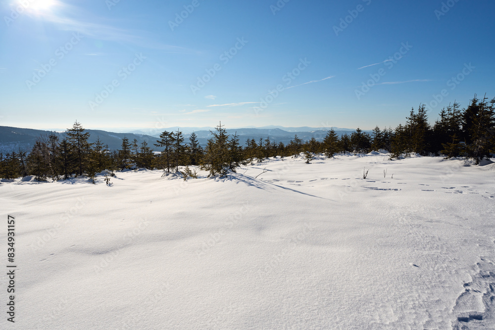 Snowy land at Silesian Beskid near Bialy Krzyz pass in Poland Snowy land at Silesian Beskid near Bialy Krzyz pass in Poland