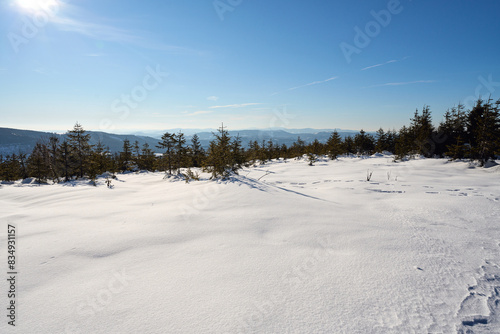 Wallpaper Mural Snowy land at Silesian Beskid near Bialy Krzyz pass in Poland Torontodigital.ca
