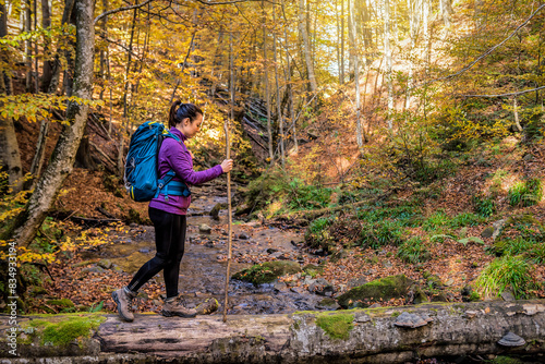 Tourist woman with a backpack crosses the stream on the old log in yellow autumn forest
