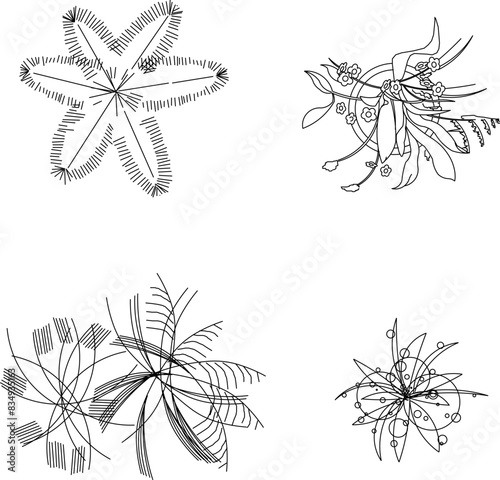 Vector illustration sketch design icon logo notation plant tree layout seen from above 