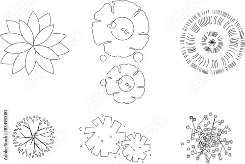 Vector illustration sketch design icon logo notation plant tree layout seen from above