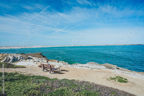 Mit Hund am Meer photo