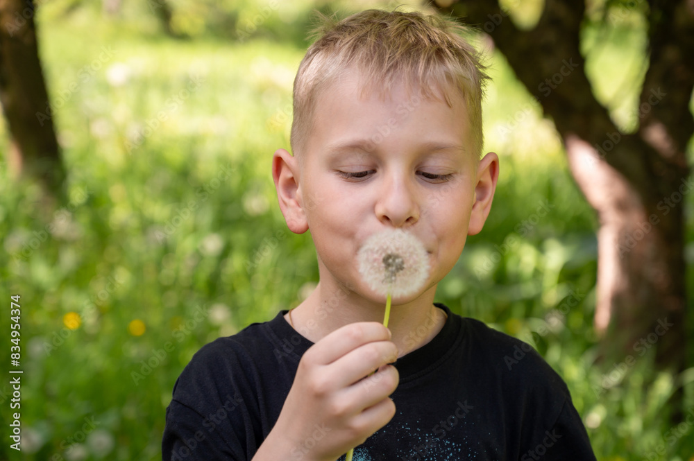 A handsome blond boy blows a dandelion in the park. Selective focus. A handsome blond boy blows a dandelion in the park. Selective focus.