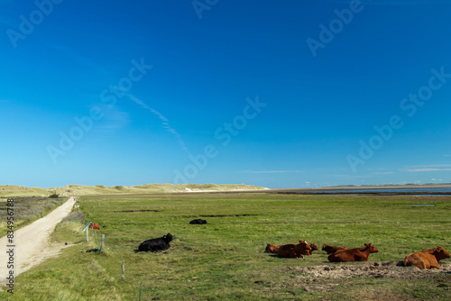 Nordsee Impressionen