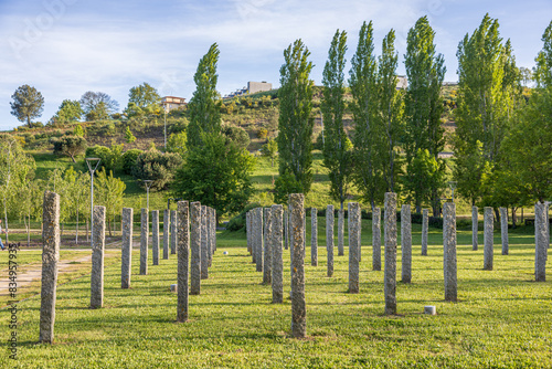 Pappelbaum - Park