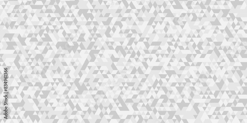 Vector geometric seamless technology gray and white triangle element light background. Abstract digital grid light pattern white Polygon Mosaic triangle Background, business and corporate background.